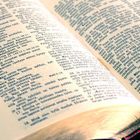 Bibliabrunssi Bibliabrunssi