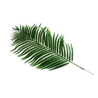 Palmusunnuntain sanajumalanpalvelus tuomiokirkossa Palmusunnuntain sanajumalanpalvelus tuomiokirkossa